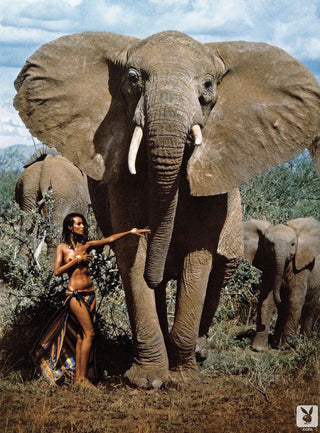 The Mental Health Benefits From Travel