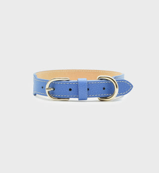 Leather Dog Collar - Ocean/Gold