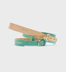 Leather Dog Leash - Green/Gold