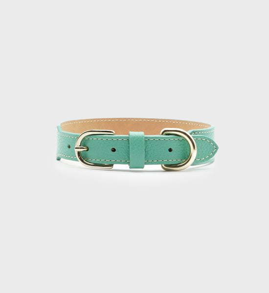Leather Dog Collar - Green/Gold