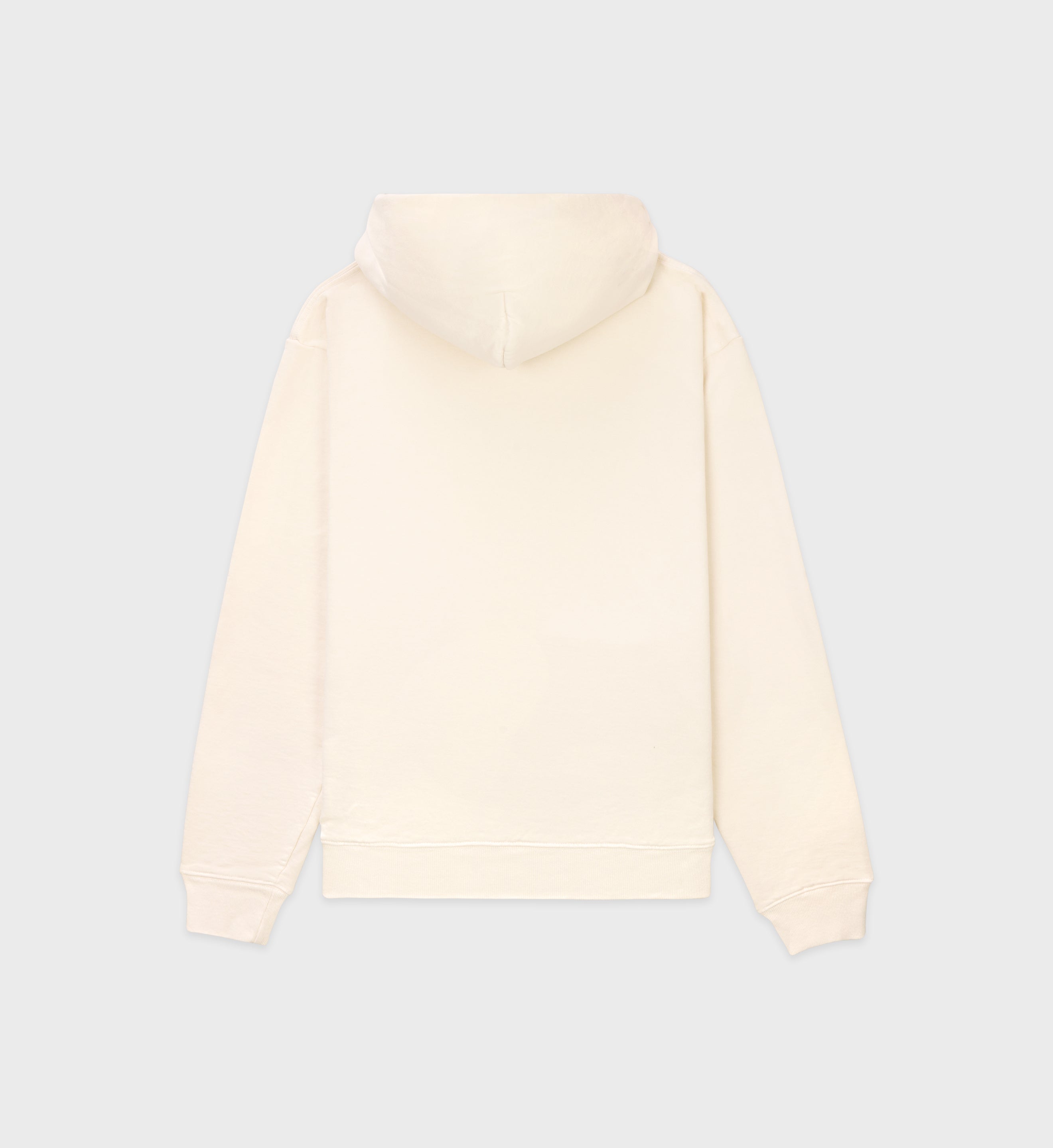 Sporty \u0026 Rich NYC Wellness ivy hoodie